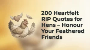 200 Heartfelt RIP Quotes for Hens – Honour Your Feathered Friends