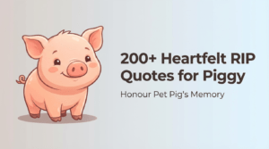 200+ Heartfelt RIP Quotes for Piggy – Honour Pet Pig's Memory